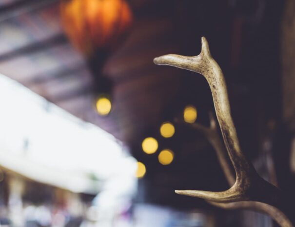 Carmanah 3 style1-03.jpg