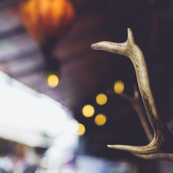 Room with Sidebar Form 45 style1 03