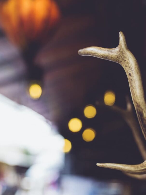 Room with Sidebar Form 3 style1 03